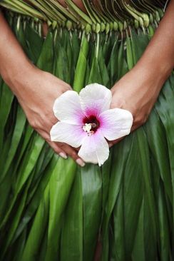 1e878b539cd8956969c4275a87144fc7