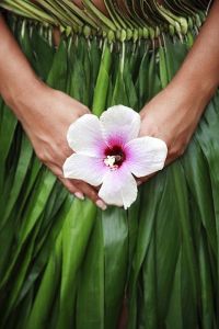 1e878b539cd8956969c4275a87144fc7